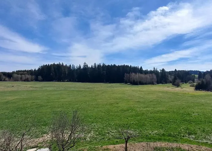 Apartman V Jámě *